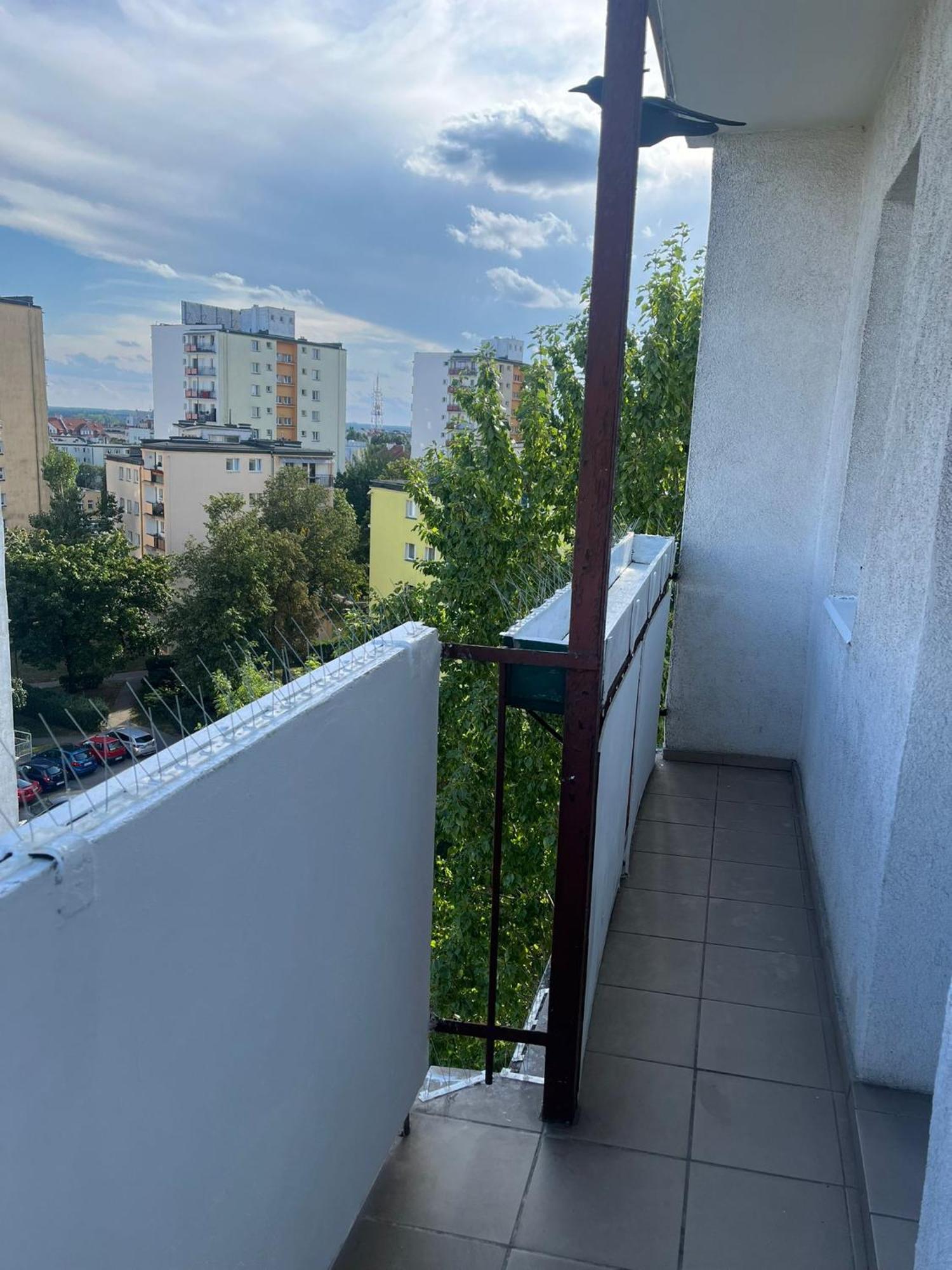 Widokowka Διαμέρισμα Stary Toruń Εξωτερικό φωτογραφία